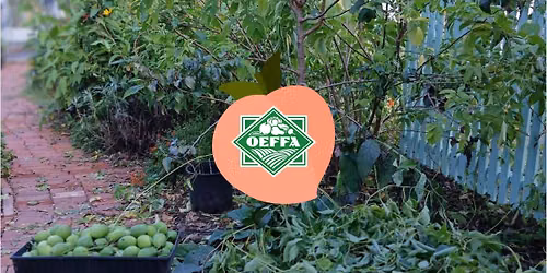 Urban Food Forest Tour