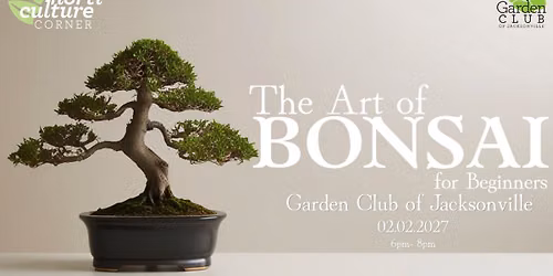 The Art of Bonsai for beginners