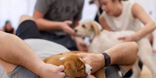 Rescue Puppy Yoga