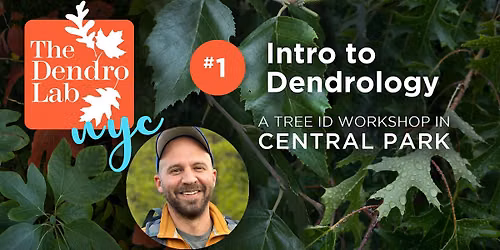 Intro to Dendro in Central Park w\/Marc Leone