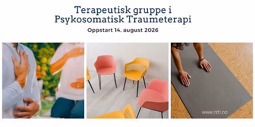 Terapeutisk gruppe i psykosomatisk traumeterapi