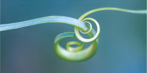 Storytelling as Medicine