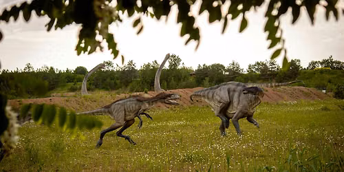 Dino Movie Night
