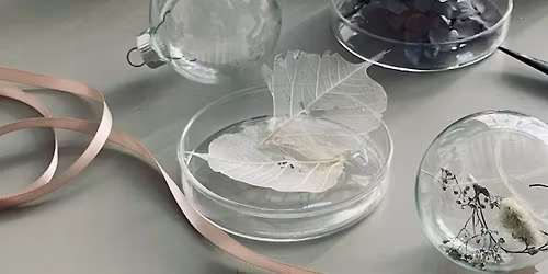 Dried Flower Glass Ball Ornament Making Workshop