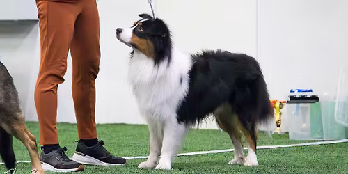 YL\u00d6KKin kev\u00e4tm\u00e4ts\u00e4ri | Match Show