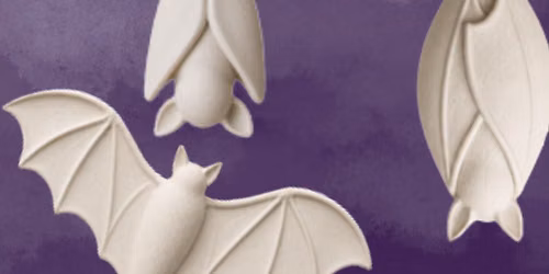 Clay Class: Bats!