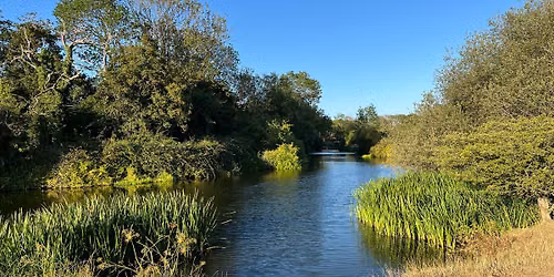 Walking the Medway Rail Hike