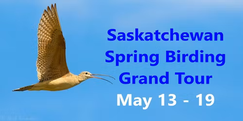 Saskatchewan Spring Birding Grand Tour