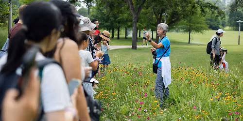Nature Walking Tour with Leave No Trace Experts