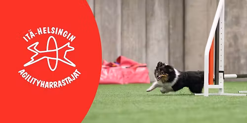 I-HAH Agilityn Marraskisat 29.-30.11.2025