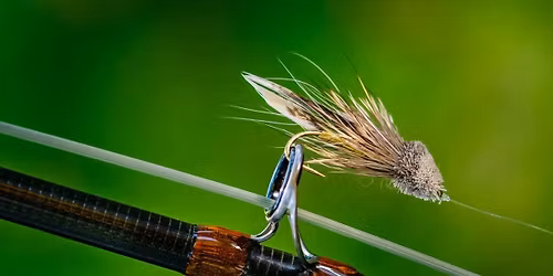 Fly-Tying Forum