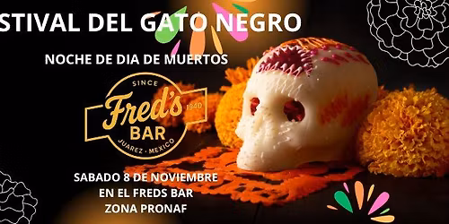 FESTIVAL DEL GATO NEGRO
