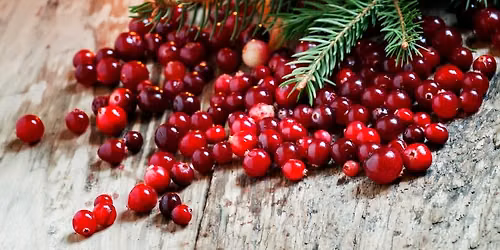 Vegan Holiday Favorites