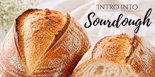Intro into Sourdough