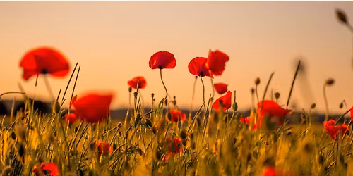 Lymm Remembrance Day Parade