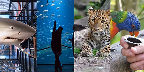 Mehrtagesbusfahrt nach Stralsund und Vogelpark Marlow