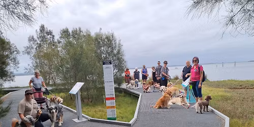  Killarney Vale Fortnightly Slow Walk 4:30PM