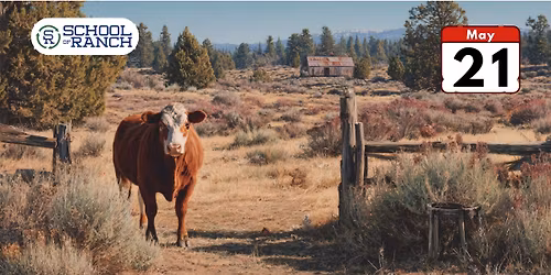 Raising Beef for Your Freezer