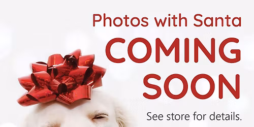 Photos with Santa 🎅 