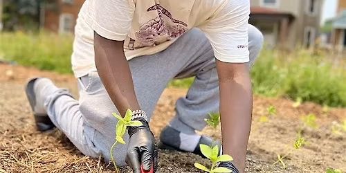 How to Test your Soil: Learning about soil lead and soil fertility
