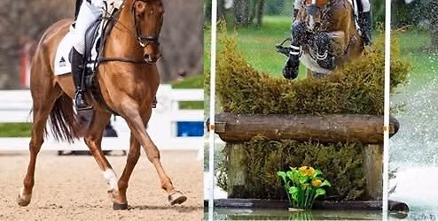 Tik and Sinead Maynard Clinic