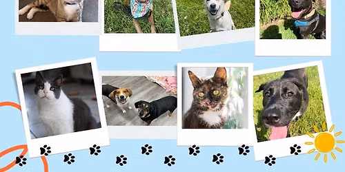Weekend Adoption Events