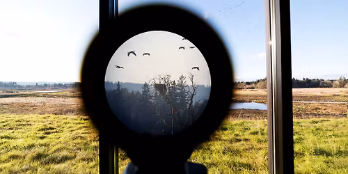 Birds and Birdwatching