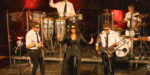 Laura a jej\u00ed tyg\u0159i \u2013 40 let | Lucerna Music Bar \u2013 80 % prod\u00e1no