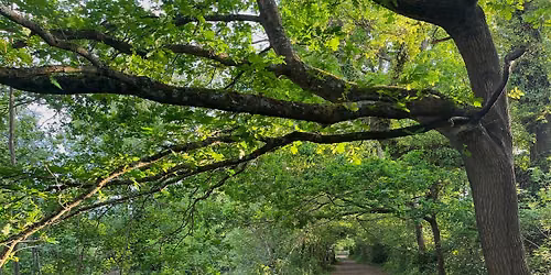 Walk Tonbridge Festival 2026: 'Women's Walk ' Haysden, and The Eden Valley