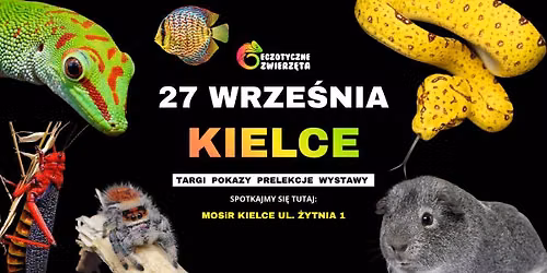 KIELCE 27 WRZE\u015aNIA - EGZOTYCZNE ZWIERZ\u0118TA - TERRARYSTYKA AKWARYSTYKA BOTANIKA i wiele wi\u0119cej
