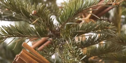 Natural Pagan Yuletide Ornaments