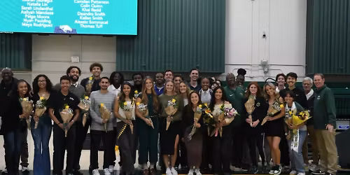 Parking Natalie Hanes