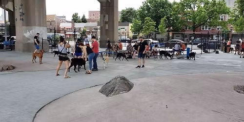 Free Dog Vaccination Day at Triborough Dog Park