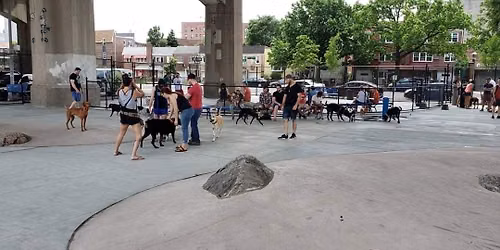 Free Dog Vaccination Day at Triborough Dog Park
