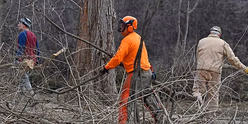 Volunteer Morning: Goodenow Grove Nature Preserve