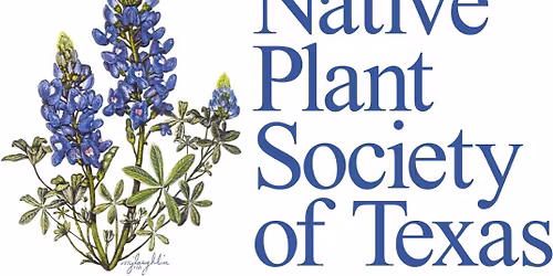 Gardens of Texas: Growing with Resilience presented by author Pam Penick