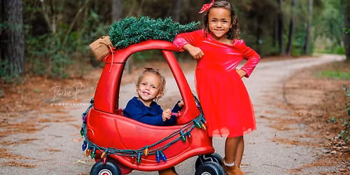 Christmas SALE Mini Sessions