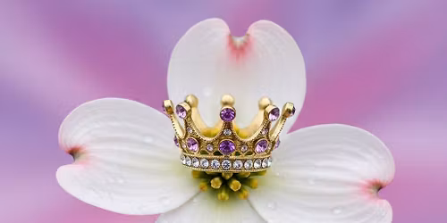 SEC\u2019s Dogwood Elegance Pageant 