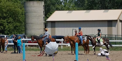 Mounted Police De-Spooking Clinic!