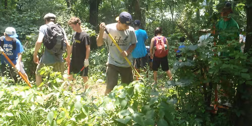 FROGGY Bottoms: Invasive Yoink