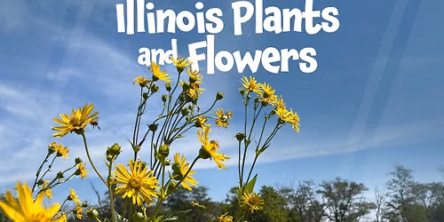 Illinois Plants and Flowers