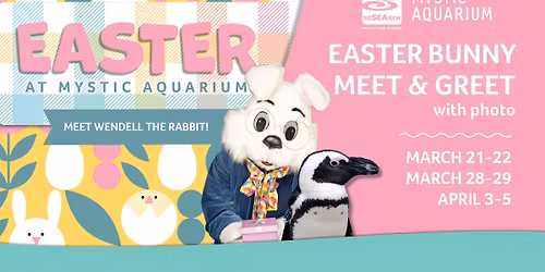 The Easter Bunny visits Mystic Aquarium!