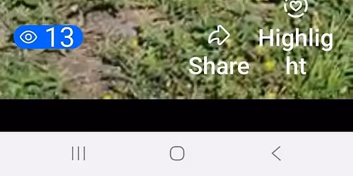 MCI's 4th Quarterly Clean-Up on Moore's Creek