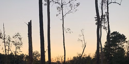 Opening Day Dove Hunt