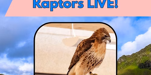 North Sky Raptor Sanctuary: Raptors LIVE!