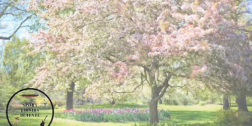 CORRIDA DE NO\u00cbL 