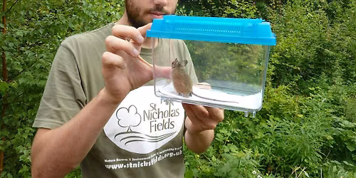 Small Mammal Survey