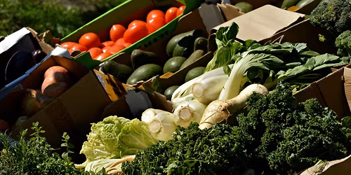 Feeding our Future: A talk on fueling the body with plants