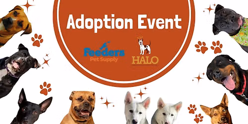 Feeders Adoption Event - XENIA