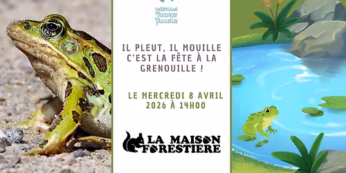 Il pleut, il mouille : c'est la f\u00eate \u00e0 la grenouille !